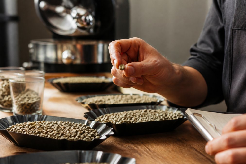 How to Identify Premium Arabica Coffee Beans